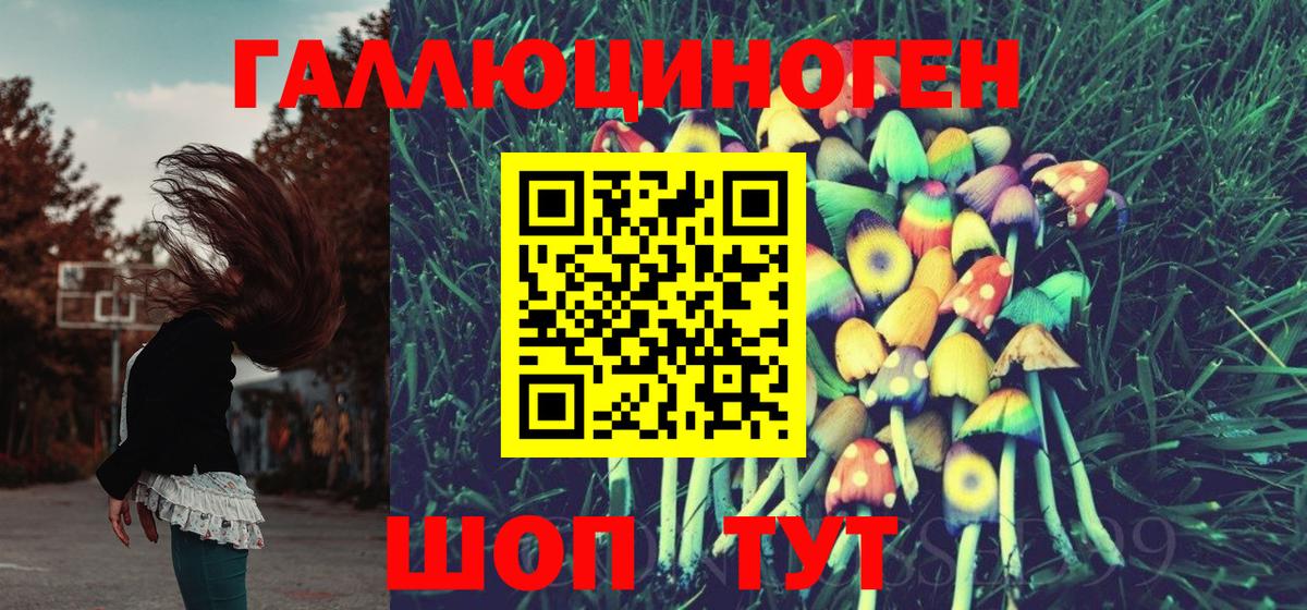 Галлюциногенные грибы GOLDEN TEACHER  Вход с VPN  Минеральные Воды 